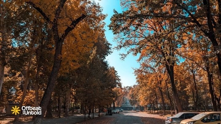 Parks at Tashkent Uzbekistan